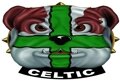 Celtic Bulldog 